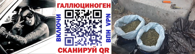 Галлюциногенные грибы Psilocybine cubensis  Купить  Смоленск 